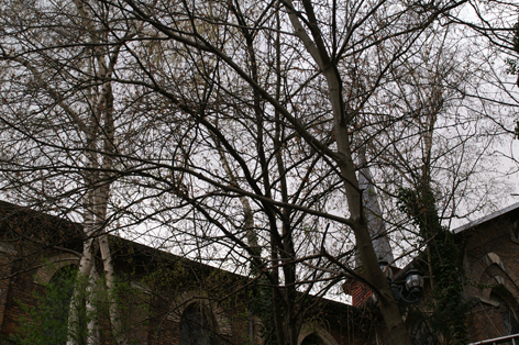 Eglise vu d'en bas