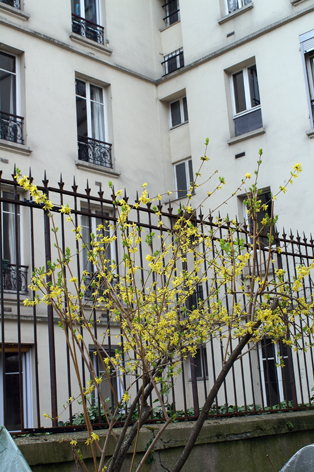 Grille du fond